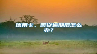 信用卡、网贷逾期后怎么办?