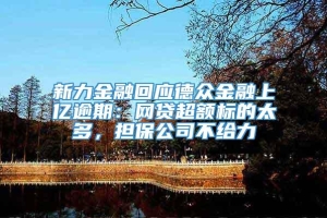 新力金融回应德众金融上亿逾期：网贷超额标的太多，担保公司不给力