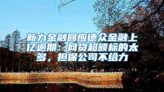 新力金融回应德众金融上亿逾期：网贷超额标的太多，担保公司不给力