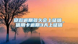 贷款逾期多久会上征信_信用卡逾期3天上征信