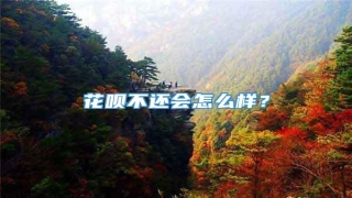 花呗不还会怎么样?