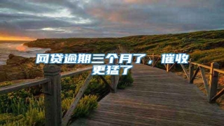 网贷逾期三个月了,催收更猛了