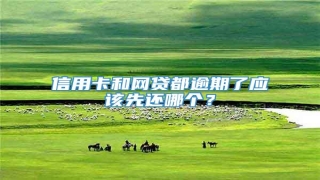 信用卡和网贷都逾期了应该先还哪个?