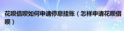 花呗借呗如何申请停息挂账（怎样申请花呗借呗）