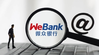 微众银行的风控黑洞:一次性起诉114名借款人,平均逾期本金超10万