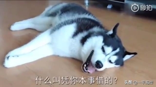 网贷逾期一天，但是被爆通讯录了，我这种情况该怎么办才好？