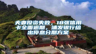 夫妻投资失败,18张信用卡全面逾期,浦发银行给出停息分期方案