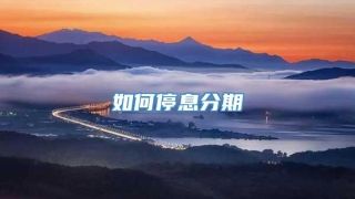 如何停息分期