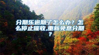 分期乐逾期了怎么办?怎么停止催收,重新免息分期?