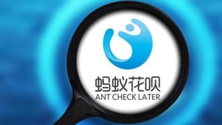 花呗和借呗逾期三个多月，会被起诉坐牢吗？