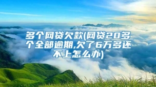 多个网贷欠款(网贷20多个全部逾期,欠了6万多还不上怎么办)