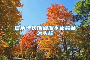 信用卡长期逾期不还款会怎么样