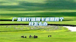 广发银行信用卡逾期四个月怎么办