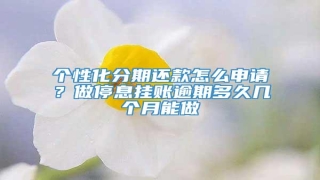 个性化分期还款怎么申请?做停息挂账逾期多久几个月能做