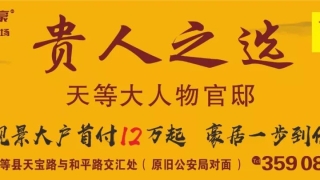 天等这236辆违章被扣的车主，赶快来认领，逾期将依法处理