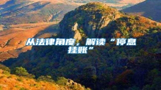 从法律角度,解读“停息挂账”