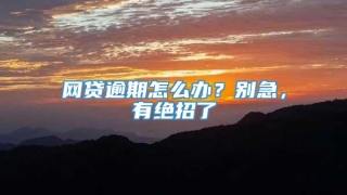 网贷逾期怎么办？别急，有绝招了