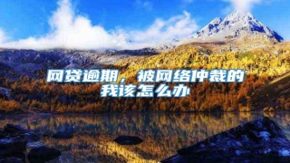 网贷逾期,被网络仲裁的我该怎么办
