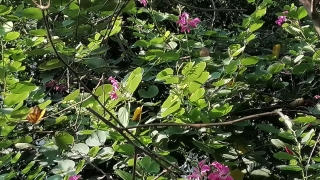 信用卡网贷逾期后、起诉中、执行中、执行终本后的各种协商方式