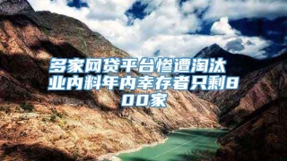 多家网贷平台惨遭淘汰 业内料年内幸存者只剩800家