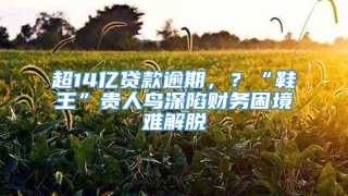超14亿贷款逾期,?“鞋王”贵人鸟深陷财务困境难解脱