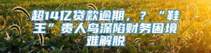 超14亿贷款逾期，？“鞋王”贵人鸟深陷财务困境难解脱