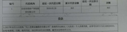 网贷逾期后征信上显示“已代偿”，对借款人会有什么样的后果？