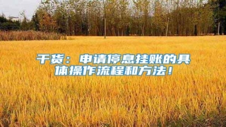 干货:申请停息挂账的具体操作流程和方法!