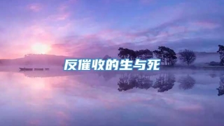 反催收的生与死