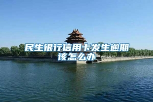 民生银行信用卡发生逾期该怎么办