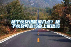 桔子快贷抢额度几点？桔子快贷可靠吗会上征信吗