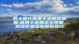 各大银行信用卡逾期宽限期,信用卡逾期怎么恢复,网贷停息挂账协商技巧
