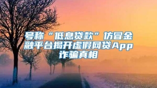 号称“低息贷款”仿冒金融平台揭开虚假网贷App诈骗真相