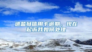 进监狱信用卡逾期，现在起诉我如何处理