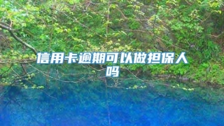 信用卡逾期可以做担保人吗