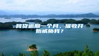 网贷逾期一个月,催收开始威胁我?