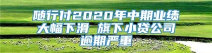 随行付2020年中期业绩大幅下滑 旗下小贷公司逾期严重