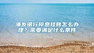 浦发银行停息挂账怎么办理？需要满足什么条件