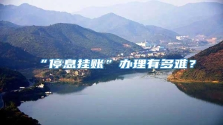“停息挂账”办理有多难?