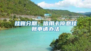 挂账分期,信用卡停息挂账申请办法