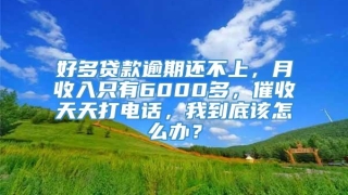 好多贷款逾期还不上，月收入只有6000多，催收天天打电话，我到底该怎么办？