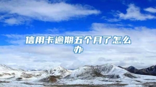 信用卡逾期五个月了怎么办