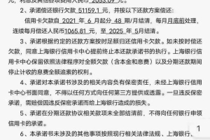 河北网贷逾期停息分期怎么协商(网贷逾期了怎么协商)