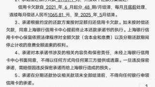河北网贷逾期停息分期怎么协商(网贷逾期了怎么协商)