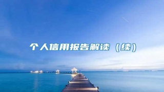 个人信用报告解读(续)