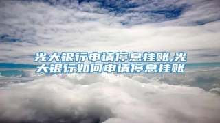 光大银行申请停息挂账,光大银行如何申请停息挂账