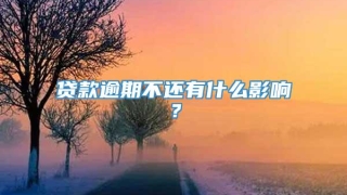 贷款逾期不还有什么影响?