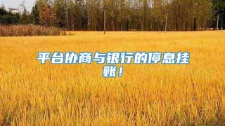 平台协商与银行的停息挂账!