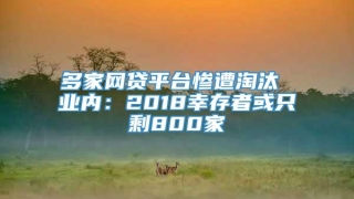 多家网贷平台惨遭淘汰 业内：2018幸存者或只剩800家