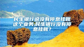 民生银行说没有停息挂账这个业务,民生银行没有停息挂账?